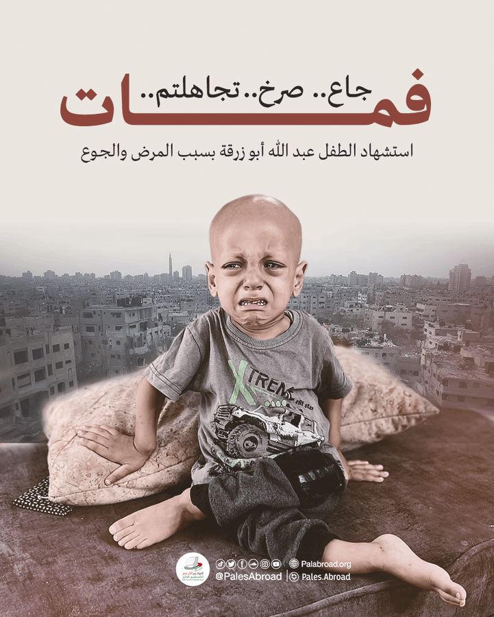 عبد الله أبو زرقة... طفلٌ غادر الحياة وهو يصرخ «أنا جعان»