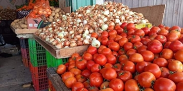 حبة بندورة ..حبة بصل