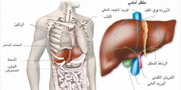 مرض الصفيرة (الإلتهاب الكبدي الوبائي ) يغزو مخيمات صور وخصوصاً مخيم البص