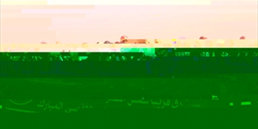 وققة تضامنية مع المسجد الأقصى لحماس في صيدا