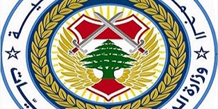 الداخلية: وثائق سفر مقروءة آليا موقتة للاجئين الفلسطينيين المسجلين