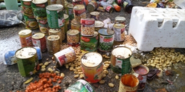 مواد غذائية فاسدة تحط في عين الحلوة