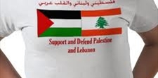 صور: تنسيق لبناني فلسطيني