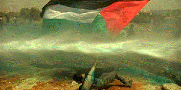 اللقاء الشبابي الفلسطيني في عين الحلوة: لماذا زج العنصر الفلسطيني