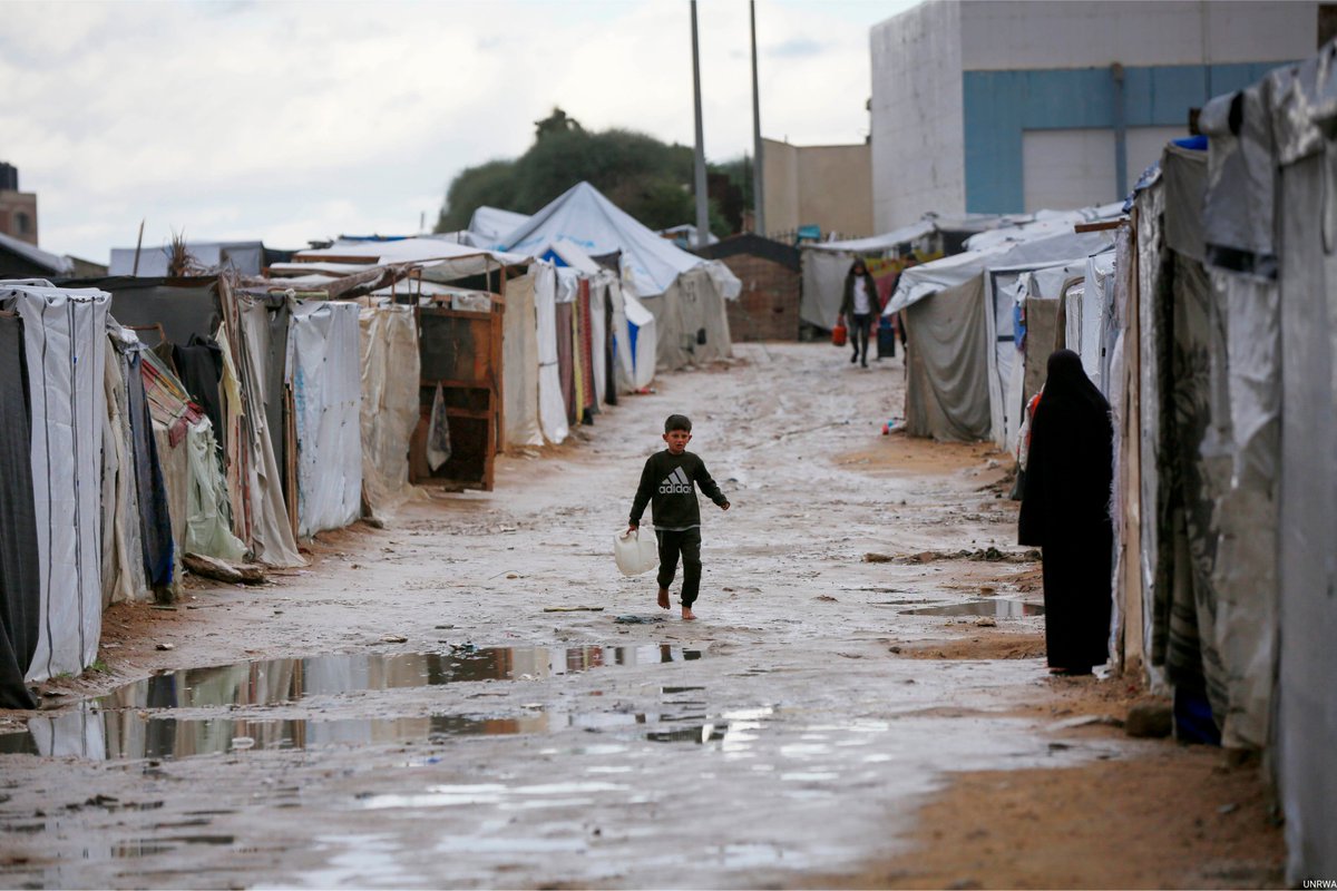 المنظمات الأهلية: قطاع غزة بحاجة عاجلة إلى 300 ألف خيمة ومستلزمات شتوية