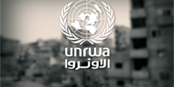 «حماس» ردًا على وثيقة «الأونروا» الداعمة للشذوذ: لن نسمح بتمييع قيم المجتمع
