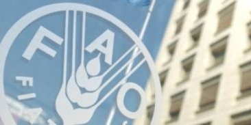 "فاو" تعلن عن مؤتمر وزاري استثنائي لدعم "أونروا"