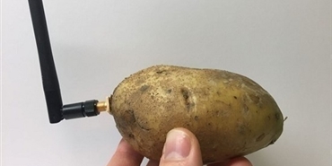 أداة تُحول «البطاطس» إلى مساعد ذكي يجيب على أسئلتك